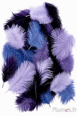 Strauss Bellies - 5-10 cm - Mixt grau